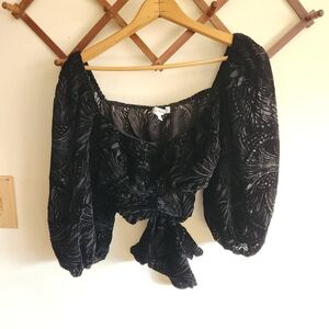 Nwot Beyond The Radar Black Puff Sleeve Crop Top Velvet Sheer Medium M
